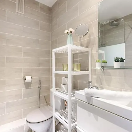 Champs Elysees Haussmann Charming 1br Lejlighed Paris